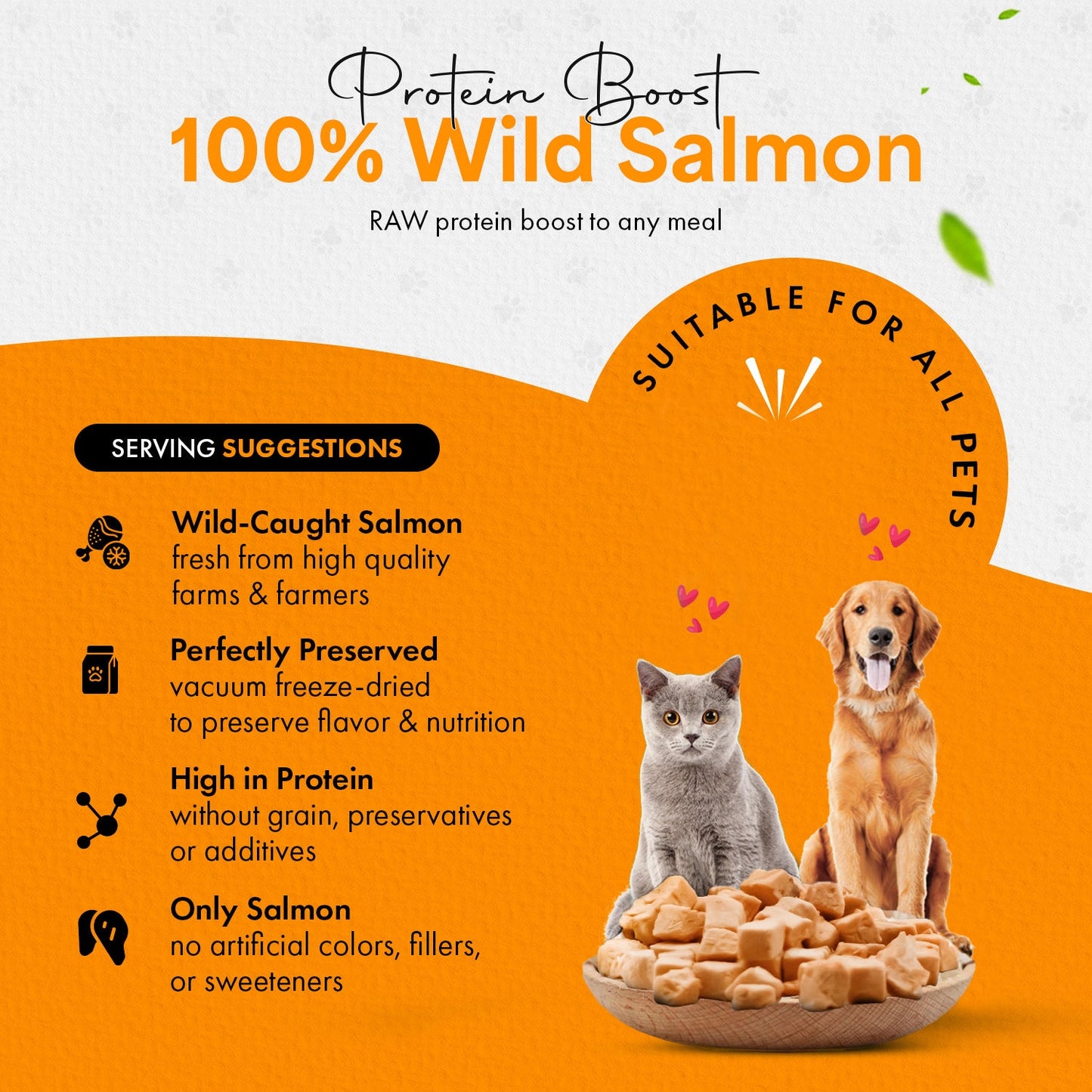 Freeze Dried Salmon Cat & Dog Treats - Made from 100% Wild Caught Salmon - Only 1 Ingredient - Healthy, Tasty, Dry Food for Indoor Cats, Kittens, Dogs - Inspected & Tested in the USA - Salmon (1.75oz-5.3oz)