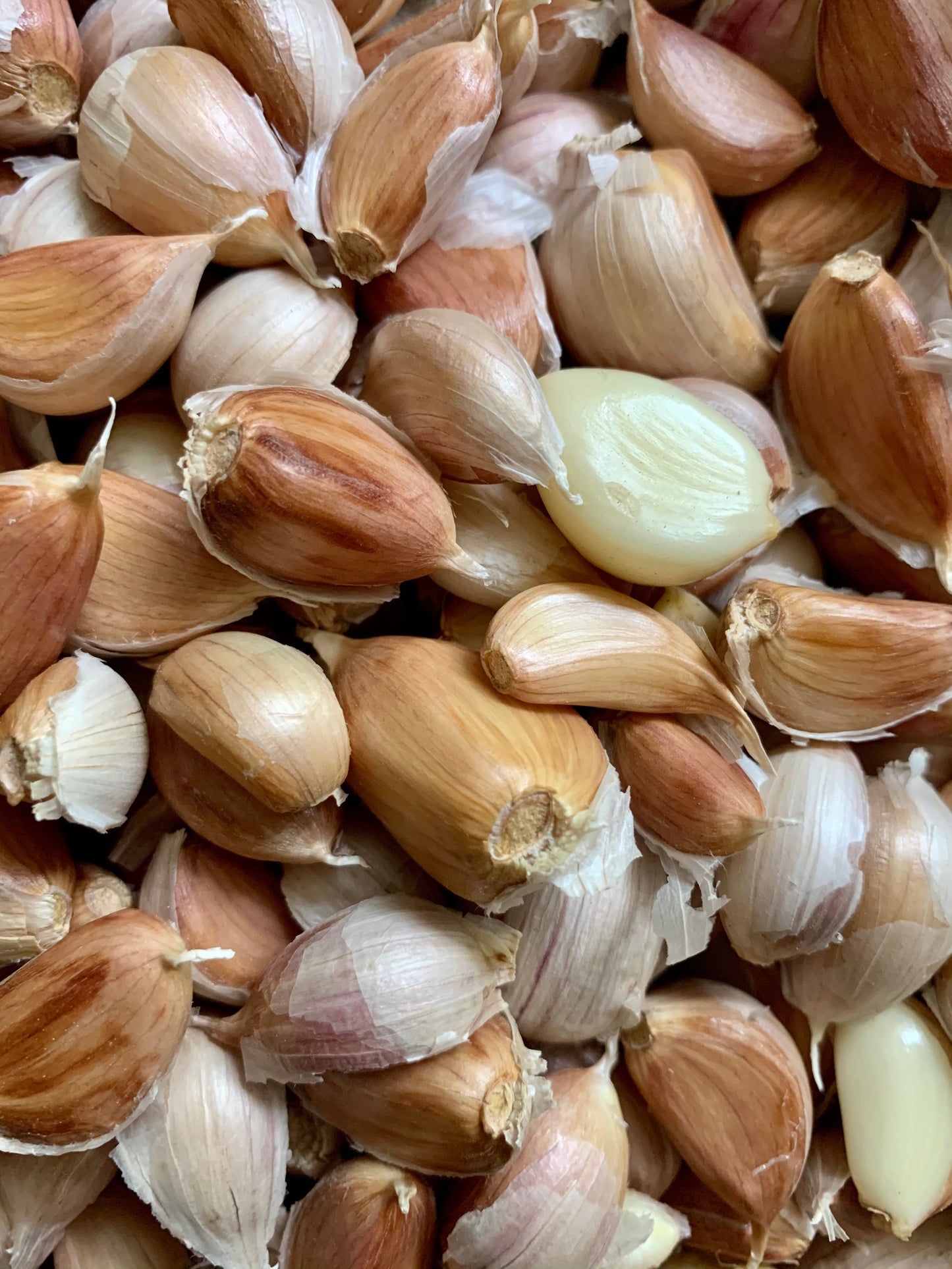 Garlic Maple Syrup