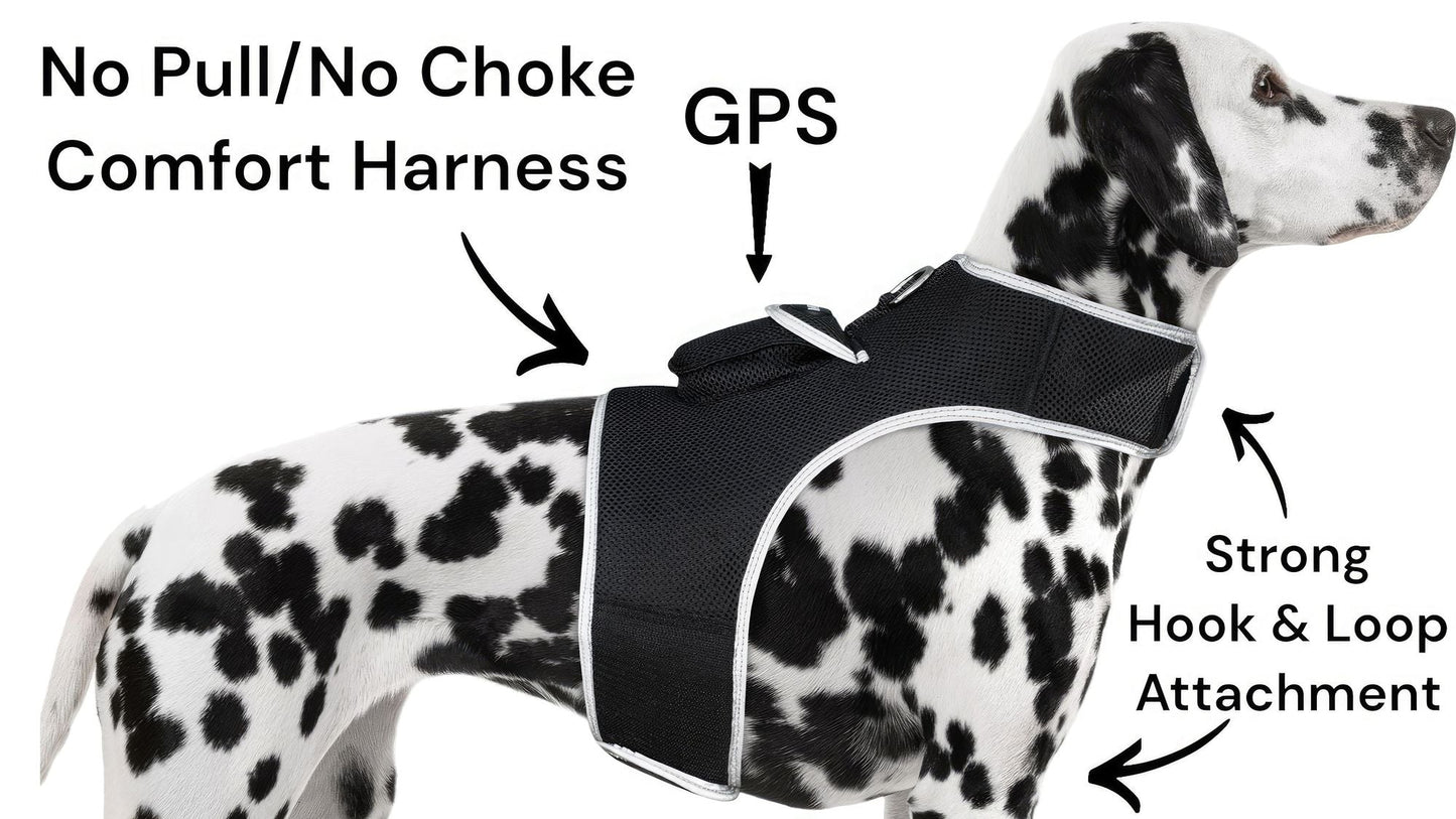 Collar Rechargeable Portable GPS Tracking Devices for Pets GSM Locator Size:XS