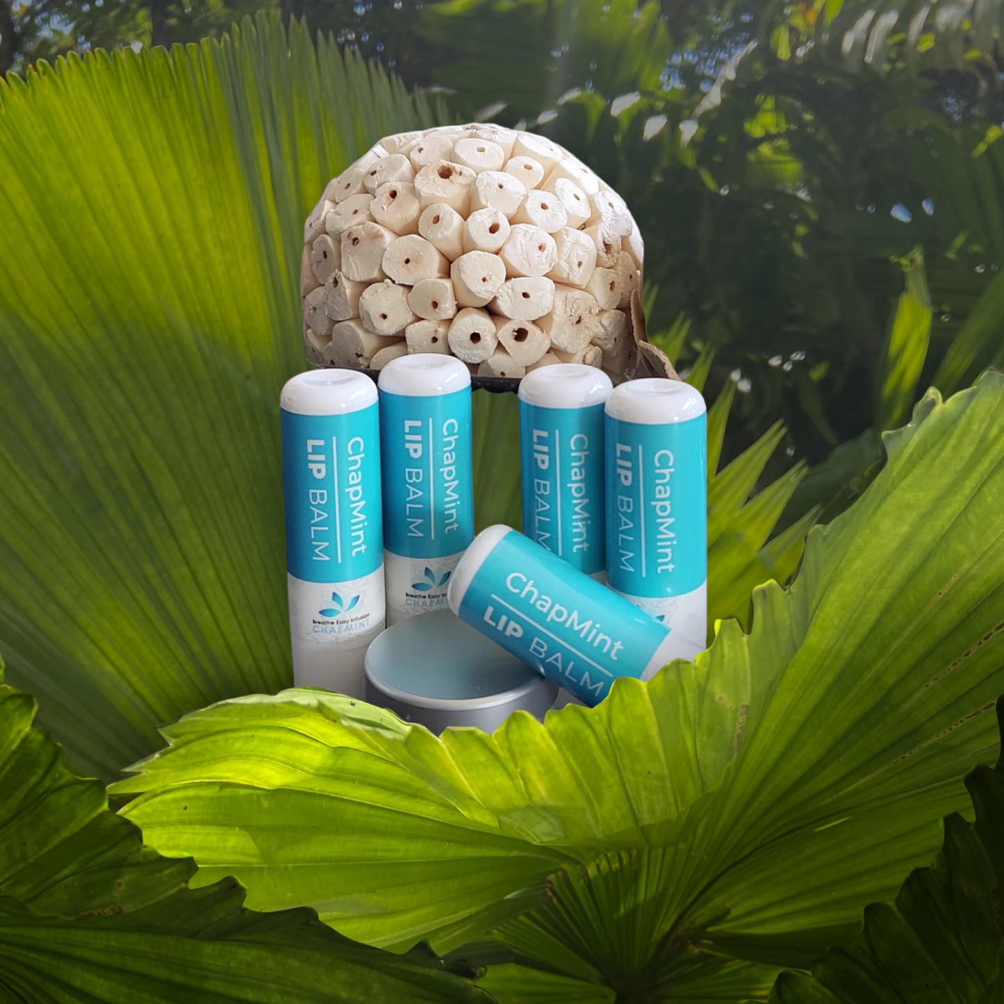 PEPPERMINT LipBalm