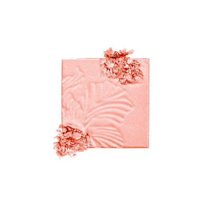 Wet n Wild Fantasy Makers MegaGlo Highlighting Powder