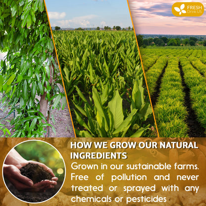 Turmeric, Ginger, Cinnamon Tea, Tea Bags, 100% Natural, Hand-made Blend of Turmeric, Ginger, and Cinnamon. Eco-conscious Tea Bags. Turmeric Ginger Herbal Tea. No Sugar, No Caffeine, No Gluten, Vegan.