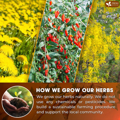 Dandelion Wolfberry Tea, 7 Herbal Ingredients