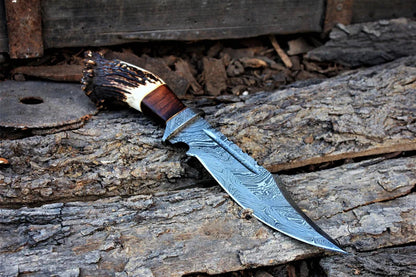 Custom Handmade 13" Damascus Bowie Knife – Stag Crown & Rosewood Handle with Leather Sheath