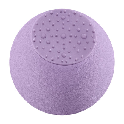 REAL TECHNIQUES Sponge + Miracle Skincare Sponge