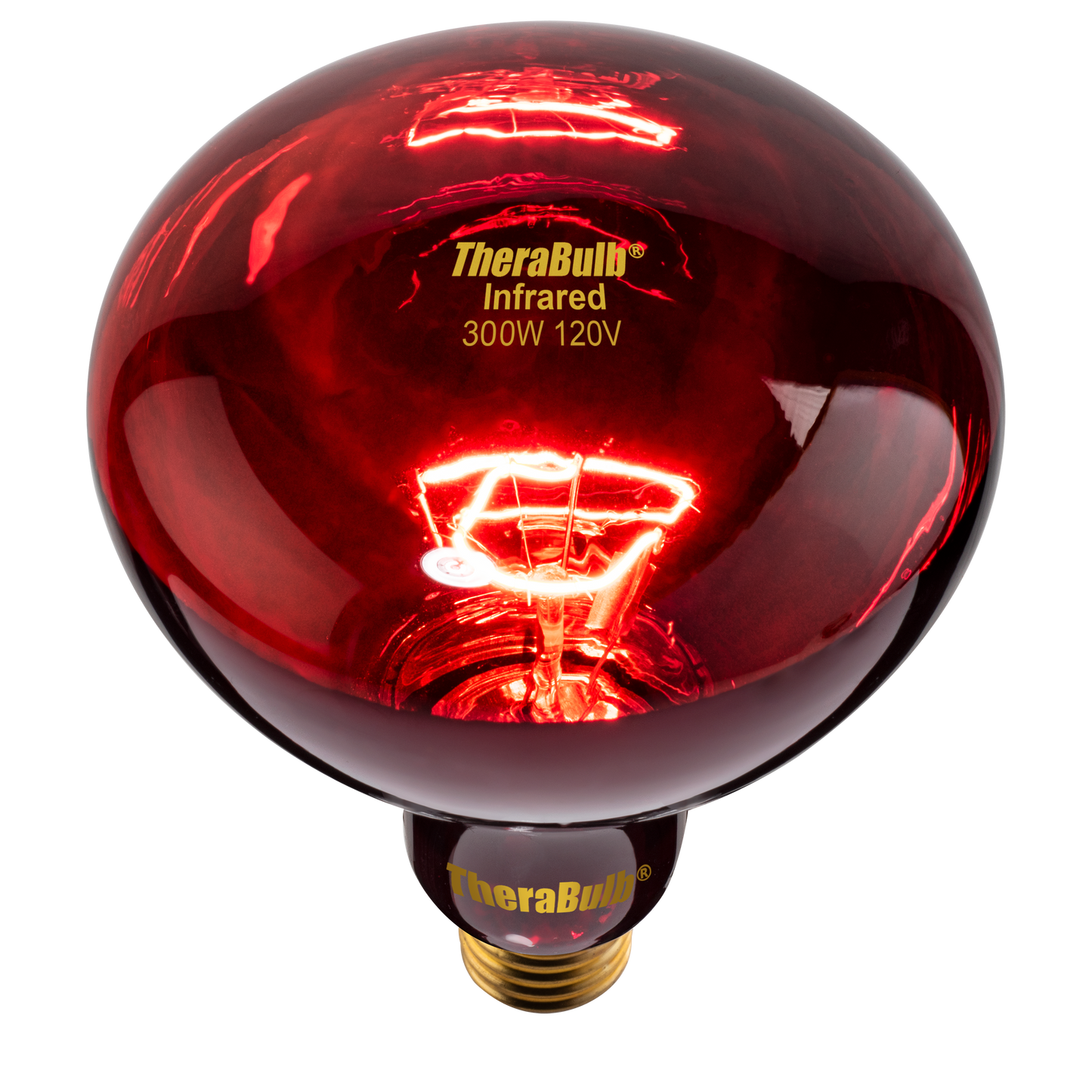 Near Infrared Bulb - 300 Watt (120V for North America)