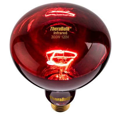 Near Infrared Bulb - 300 Watt (120V for North America)