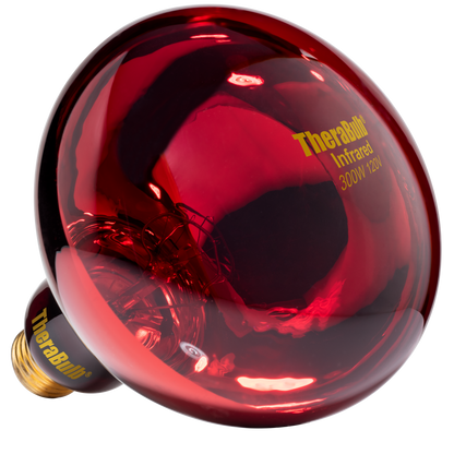 Near Infrared Bulb - 300 Watt (120V for North America)