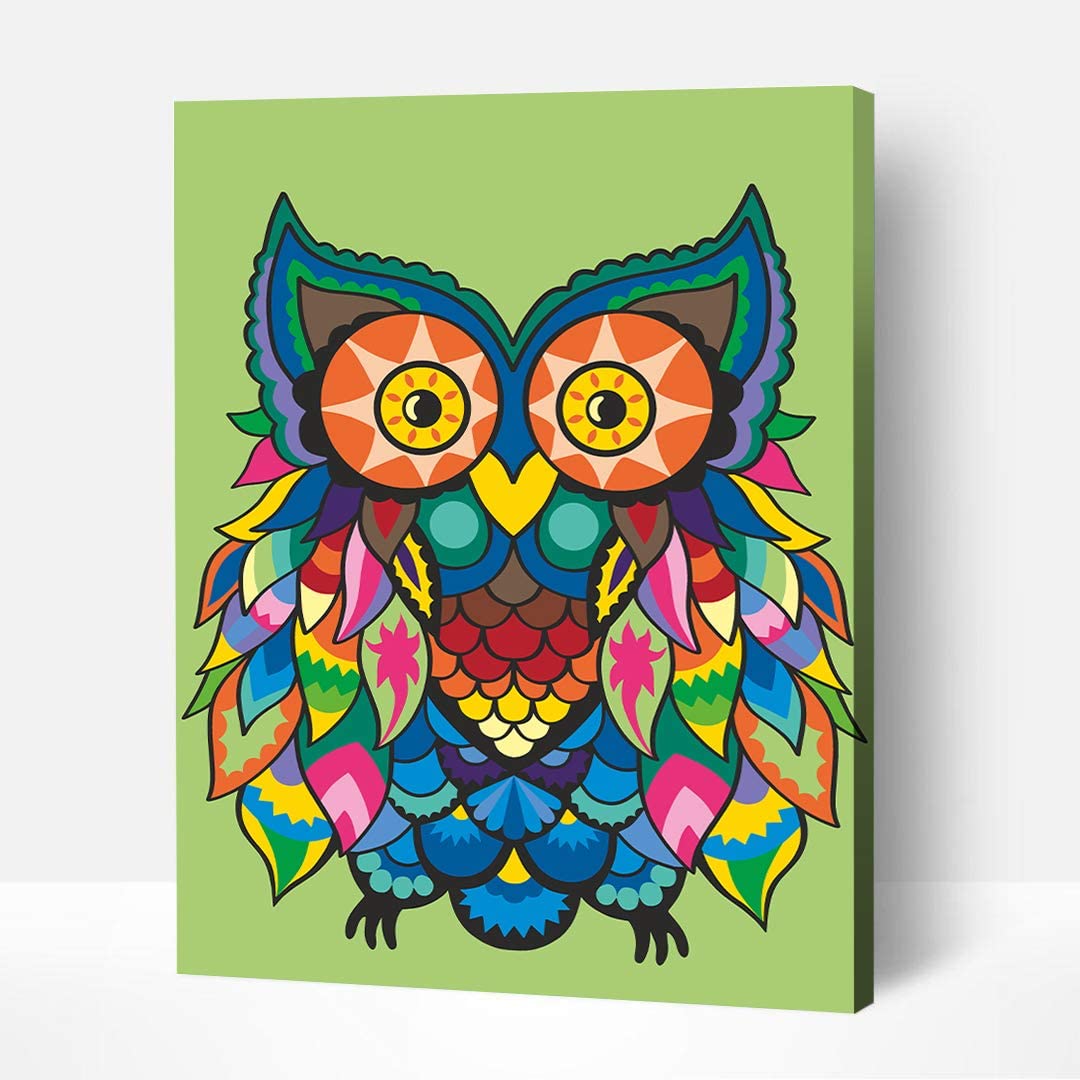 Artwille DIY Paint by Numbers for Adults and Kids - Owl