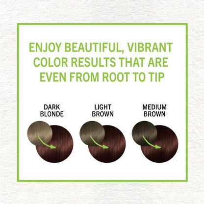 Schwarzkopf Simply Color Permanent Hair Color