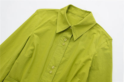 Spring New Women's Embroidered Belt Shirt Dress