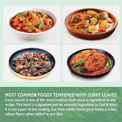 Premium Curry Leaves, Whole Dried Leaves, 100% Natural, Pure Curry Leaves, Hand-made, Wildcrafted, Indian Spice for Cooking, Curry Leaf Dried, No Additives, No Gluten, Vegan