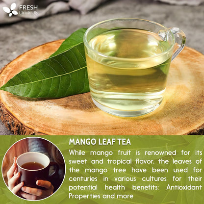 Mango Leaf, Whole Dried Leaves, Tea Bags, Powder, 100% Natural & Pure from Mango Leaves. Mango Dried Leaves. Loose Leaf Mango Herbal Tea. Mango Leaf Tea. No Sugar, No Caffeine, No Gluten, Vegan.