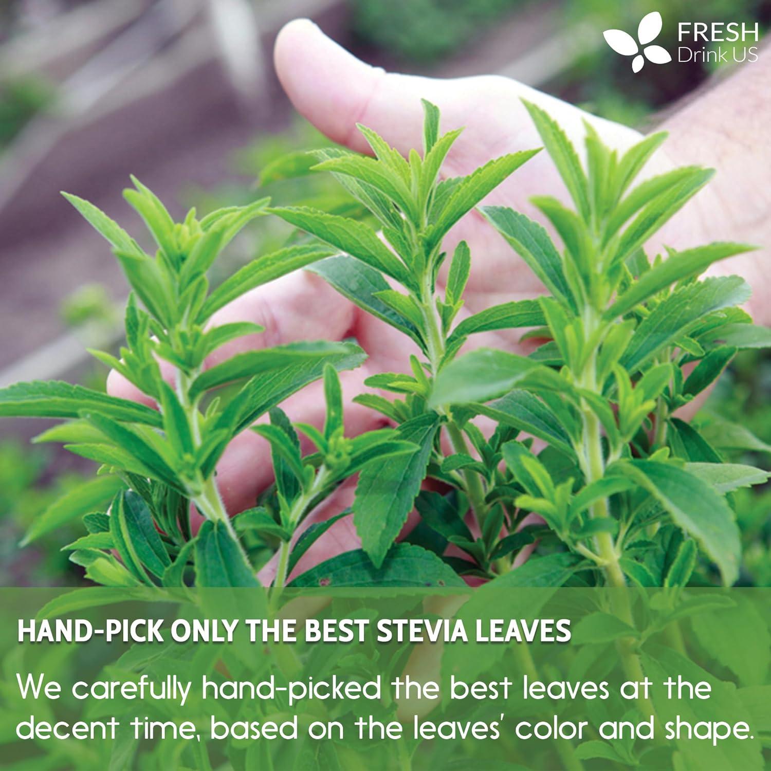 Stevia Leaf, Whole Dried Leaves, Tea Bags, Powder, 100% Natural and Pure from Stevia Leaves. Sugar Substitute for Tea, Coffee. Loose Leaf Stevia Herbal Tea. Zero Calorie Sweetener. No Sugar, No Caffeine, No Gluten, Vegan.