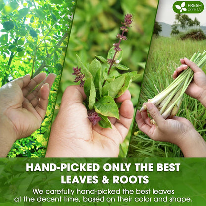 Premium Tulsi Moringa Lemongrass  Tea Bags, 100% Natural & Pure from Tulsi Holy Basil Leaves, Moringa & Lemongrass.