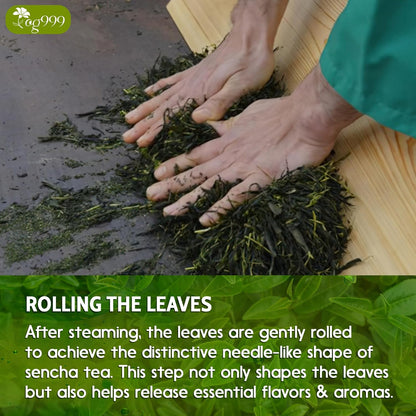 Premium Sencha Green Tea Bags, 100% Natural & Pure from Sencha Green Tea Leaves