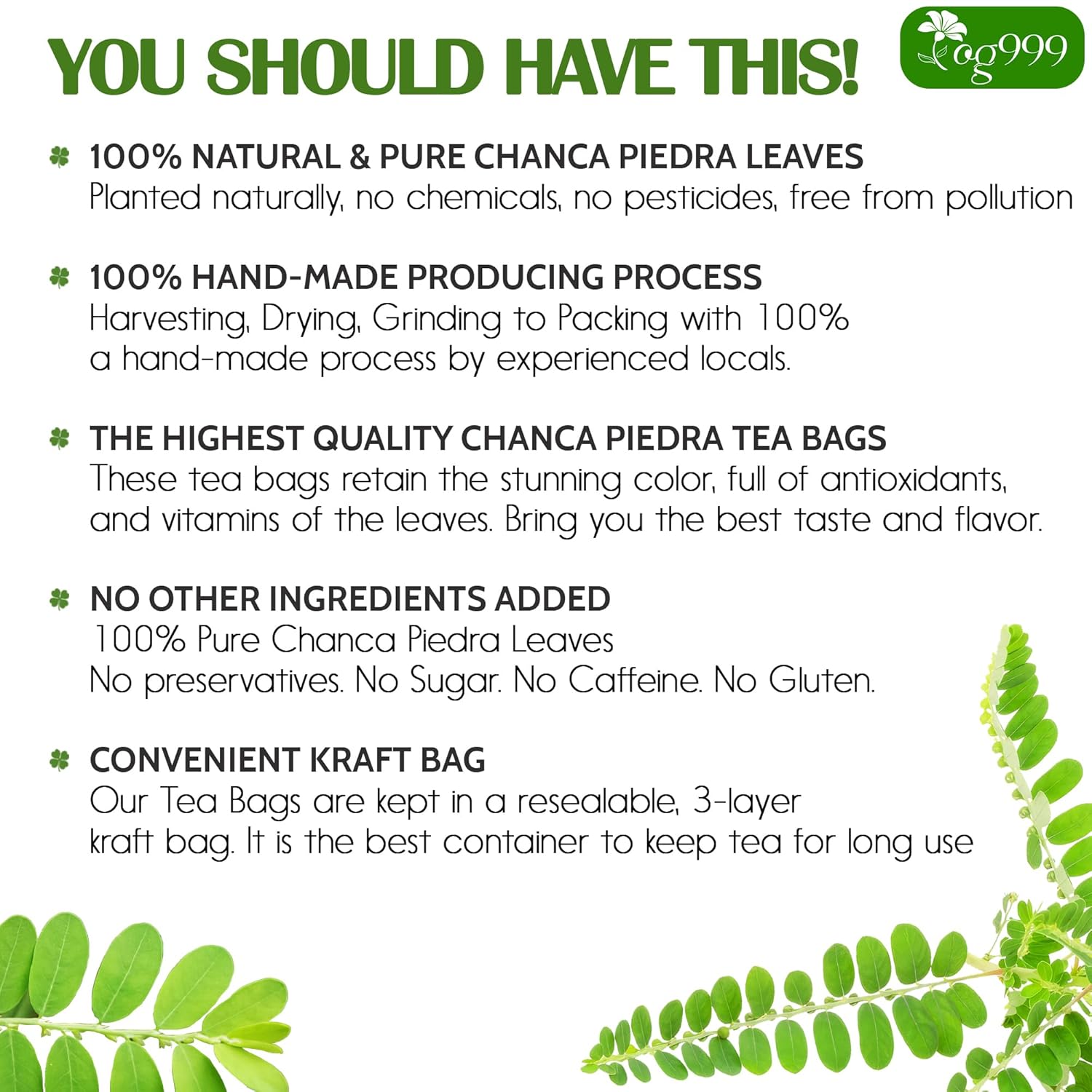 Dried Chanca Piedra Leaves, Chanca Piedra Tea “Stone Breaker” Tea Bags