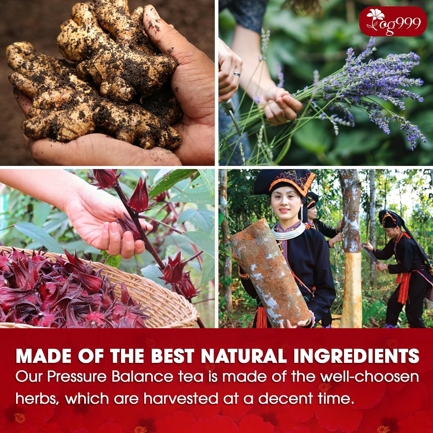 Pressure Balance Herbal Tea | Blend of 9 Natural Herbs | Caffeine-Free, Sugar-Free, Vegan-Friendly