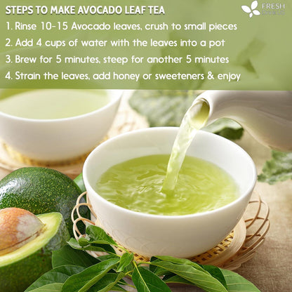 Natural Avocado Whole Leaves Dried, Tea Bags, 100% Pure from Avocado Leaves, Avocado Leaf Tea, Hojas de Aguacate Seca, No Additives, No Caffeine, Vegan