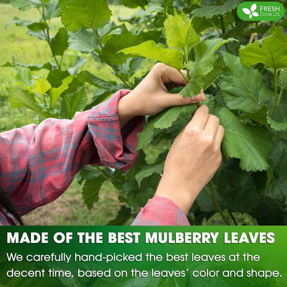 Permium Mulberry Leaves, Mulberry Loose Leaf Herbal Tea, No Additives, No Caffeine, Vegan