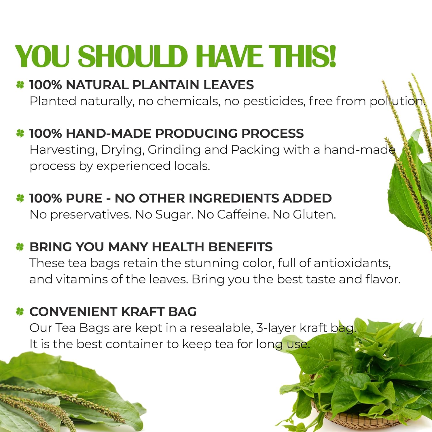 Plantain Leaf Tea Bags, 100% Natural & Pure Plantain Leaves. Loose Leaf Plantain Herbal Tea. Plantain Leaf Tea. No Sugar, No Caffeine, No Gluten, Vegan.