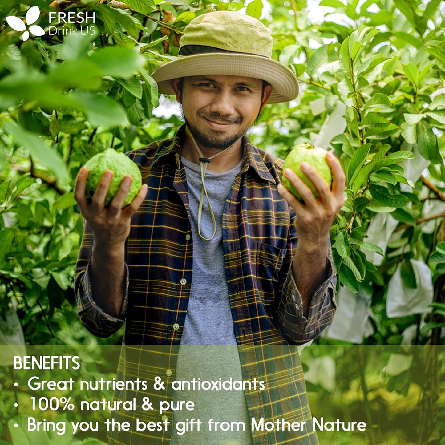 Natural Guava Leaves, Whole Dried Leaves, Cut-and-Sifted Guava leaves, 100% Pure from Guava Leaves, Natural Guava Loose Leaf Herbal Tea, No Additives, No Caffeine, Vegan