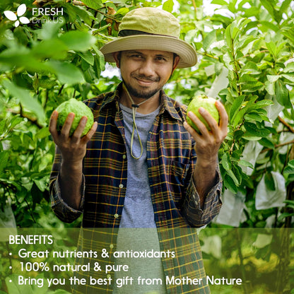 Natural Guava Leaves, Whole Dried Leaves, Cut-and-Sifted Guava leaves, 100% Pure from Guava Leaves, Natural Guava Loose Leaf Herbal Tea, No Additives, No Caffeine, Vegan