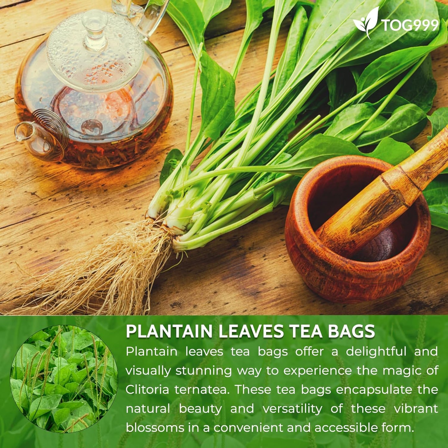 Plantain Leaf Tea Bags, 100% Natural & Pure Plantain Leaves. Loose Leaf Plantain Herbal Tea. Plantain Leaf Tea. No Sugar, No Caffeine, No Gluten, Vegan.