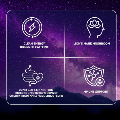 Yerba Mate Instant Tea Powder | Superfood Energy & Focus Blend