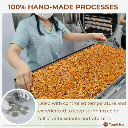 Premium Licorice Root Tea Bags, 100% Natural, Pure Licorice Root, Eco-Conscious Tea Bags, Licorice Root Herbal Tea, Licorice Root Tea. No Sugar, No Caffeine, No Gluten, Vegan