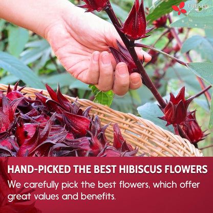 Hibiscus Dried Flowers, Tea Bags, 100% Natural, Pure from Hibiscus Flowers. Loose Flower Hibiscus Herbal Tea. Hibiscus Flower Tea. No Sugar, No Caffeine, No Gluten, Vegan.