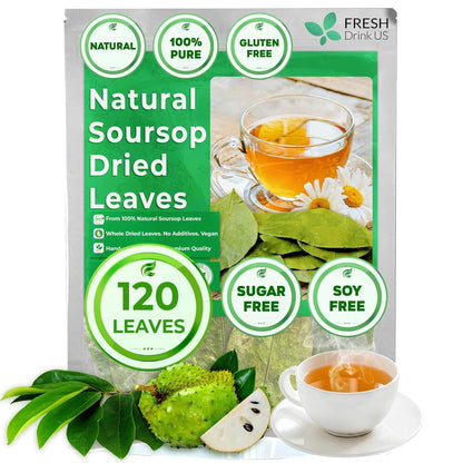 Soursop Leaves Tea Version 2