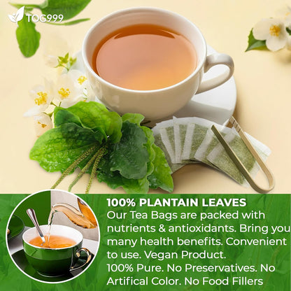 Plantain Leaf Tea Bags, 100% Natural & Pure Plantain Leaves. Loose Leaf Plantain Herbal Tea. Plantain Leaf Tea. No Sugar, No Caffeine, No Gluten, Vegan.