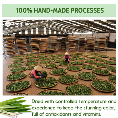 Lemongrass Tea Bags, 100% Natural & Pure Lemongrass leaves, Eco-Conscious Tea Bags, Lemongrass Herbal Tea. Lemongrass Leaf Tea. No Sugar, No Caffeine, No Gluten, Vegan.