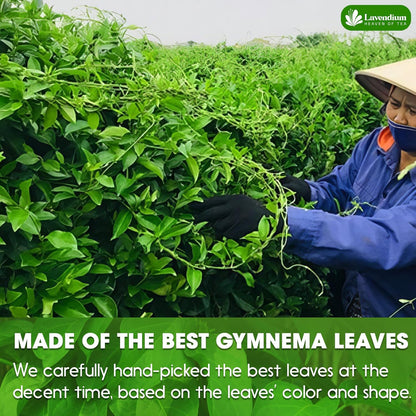 Premium Gymnema Leaf Tea Bags for Diabetics, 100% Natural & Pure from Gymnema Leaves.