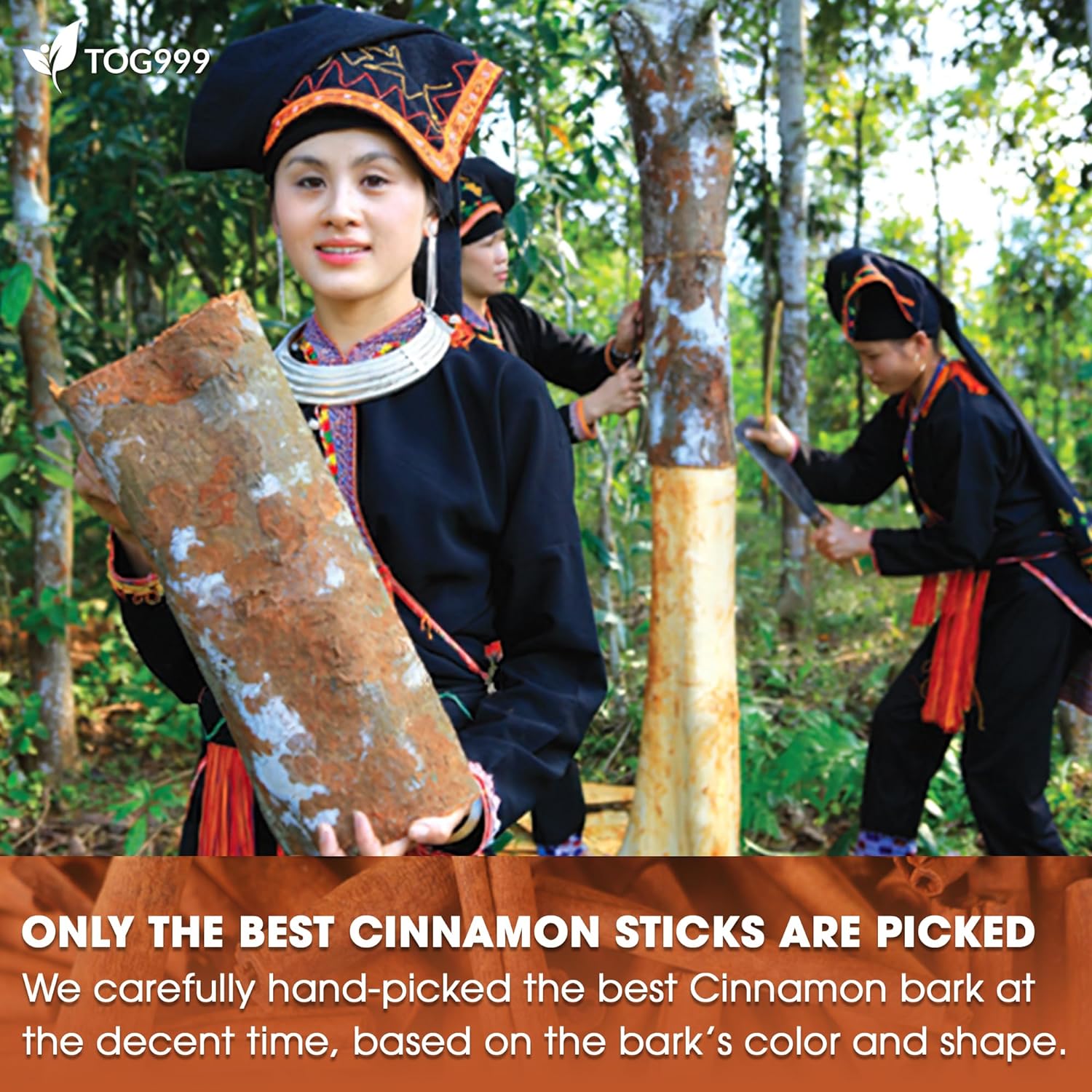 Pure Cinnamon Tea, 100% Natural & Pure Cinnamon. Cinnamon Herbal Tea. Cinnamon Stick Herbal Spice Tea. No Sugar, No Caffeine, No Gluten, Vegan.