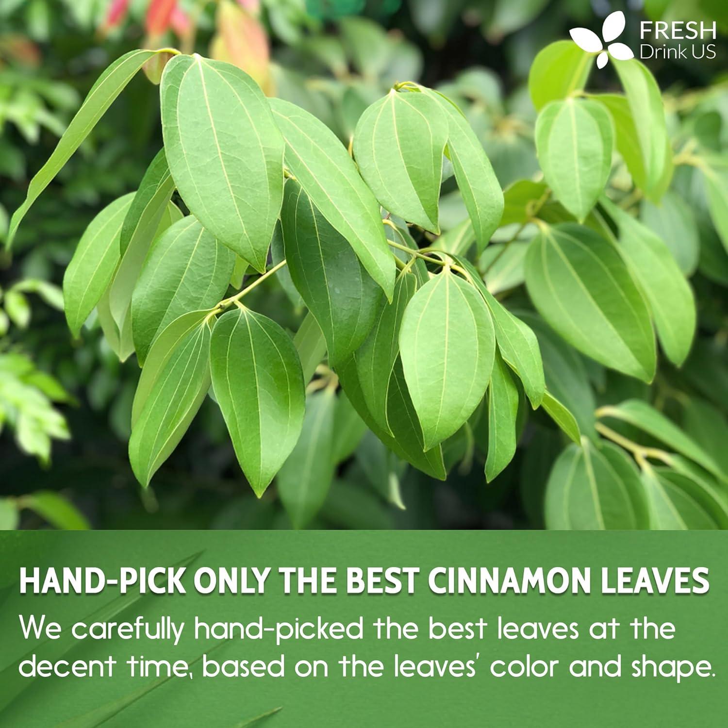 Natural Cinnamon Leaves, Whole Dried Cinnamon Leaves, Tea Bags, 100% Pure from Dried Cinnamon Leaves, Cinnamon Leaf Tea, No Additives, No Caffeine, Vegan