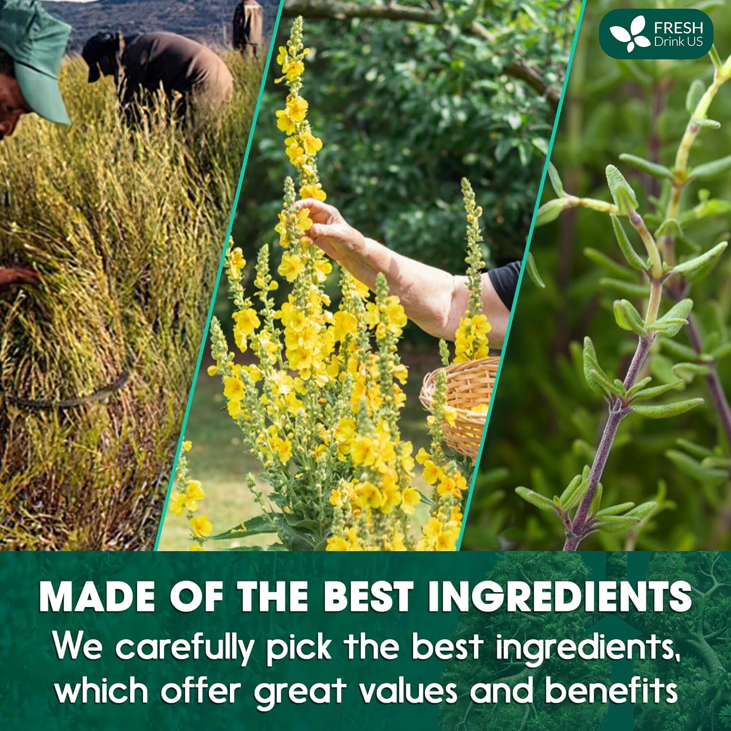 StrongerLungs Tea Bags - Supports Lung Cleanse, Congestion Relief & Mucus Detox