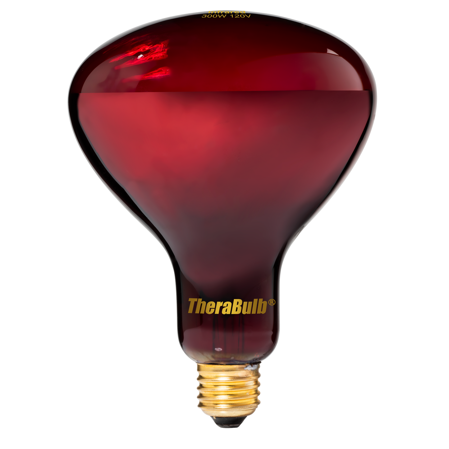 Near Infrared Bulb - 300 Watt (120V for North America)