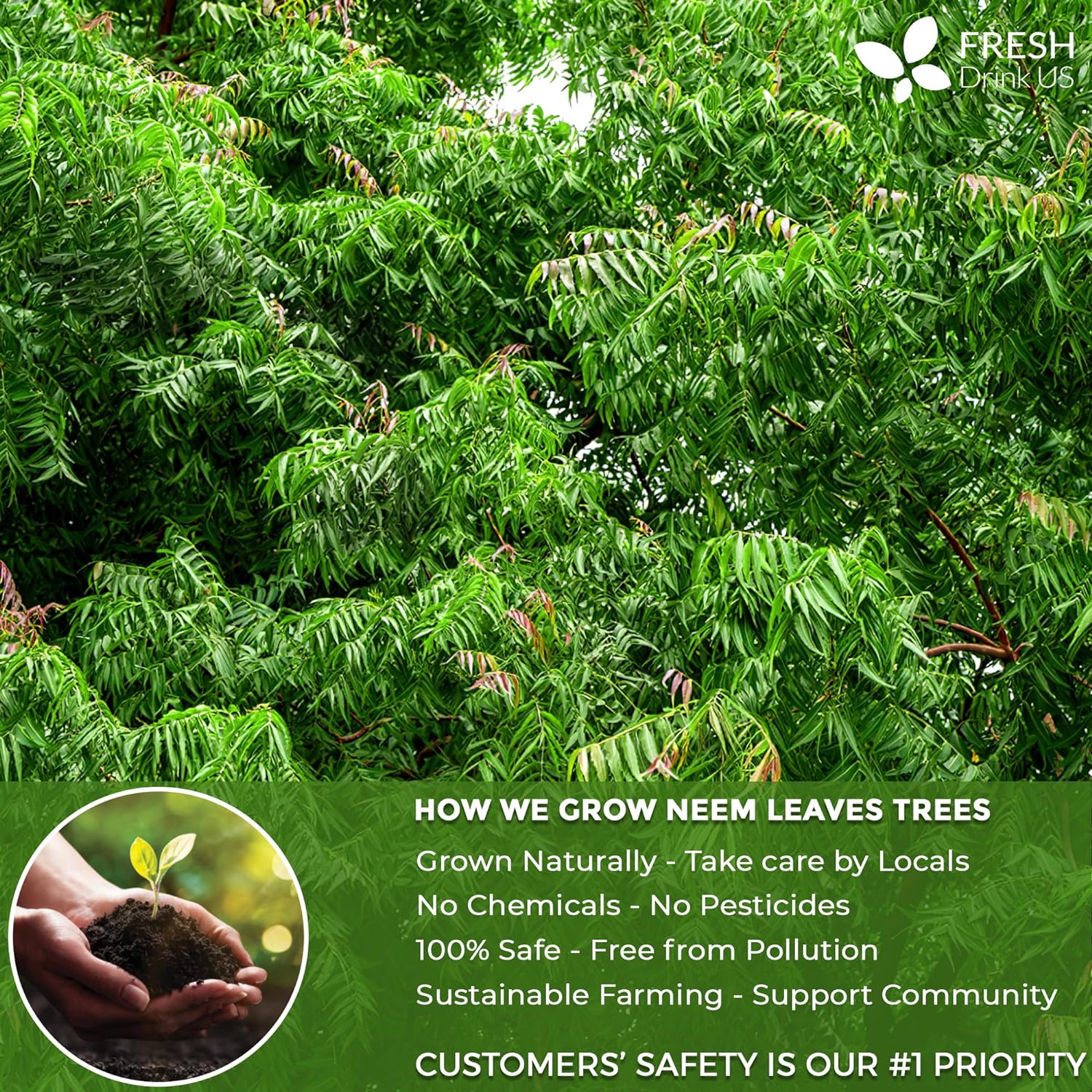 Neem Leaf Tea Bags, 100% Natural and Pure from Neem Leaves. Loose Leaf Neem Herbal Tea. Neem Leaf Tea. No Sugar, No Caffeine, No Gluten, Vegan.