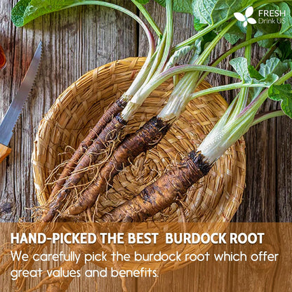 Burdock Root Tea Bags, 100% Natural & Pure from Burdock Root. Burdock Root Herbal Tea. Burdock Root Tea. No Sugar, No Caffeine, No Gluten, Vegan.