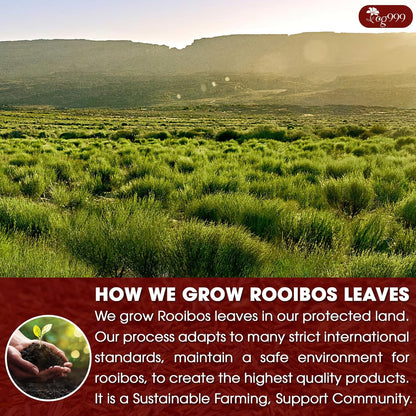 Premium Red Rooibos Tea Bags, 100% Natural & Pure from Rooibos Tea Leaves. Loose Leaf Rooibos Herbal Tea. Made with Natural Material Tea Bags. No Sugar, No Caffeine, No Gluten, Vegan.