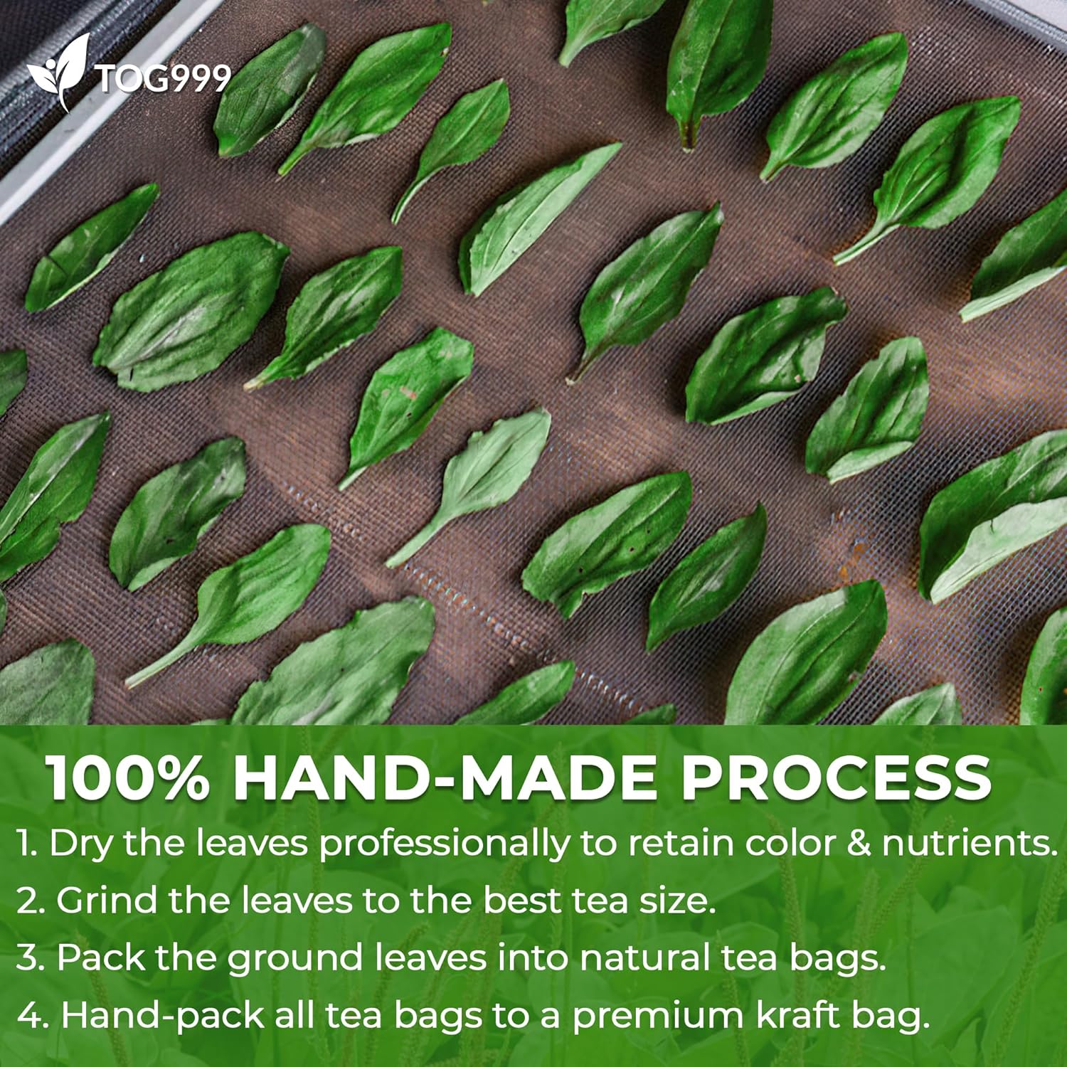 Plantain Leaf Tea Bags, 100% Natural & Pure Plantain Leaves. Loose Leaf Plantain Herbal Tea. Plantain Leaf Tea. No Sugar, No Caffeine, No Gluten, Vegan.