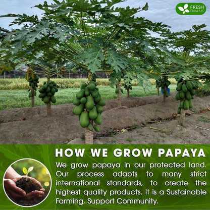 Premium Papaya Dried Leaves,  Papaya Loose Leaf Herbal Tea, No Additives, No Caffeine, Vegan