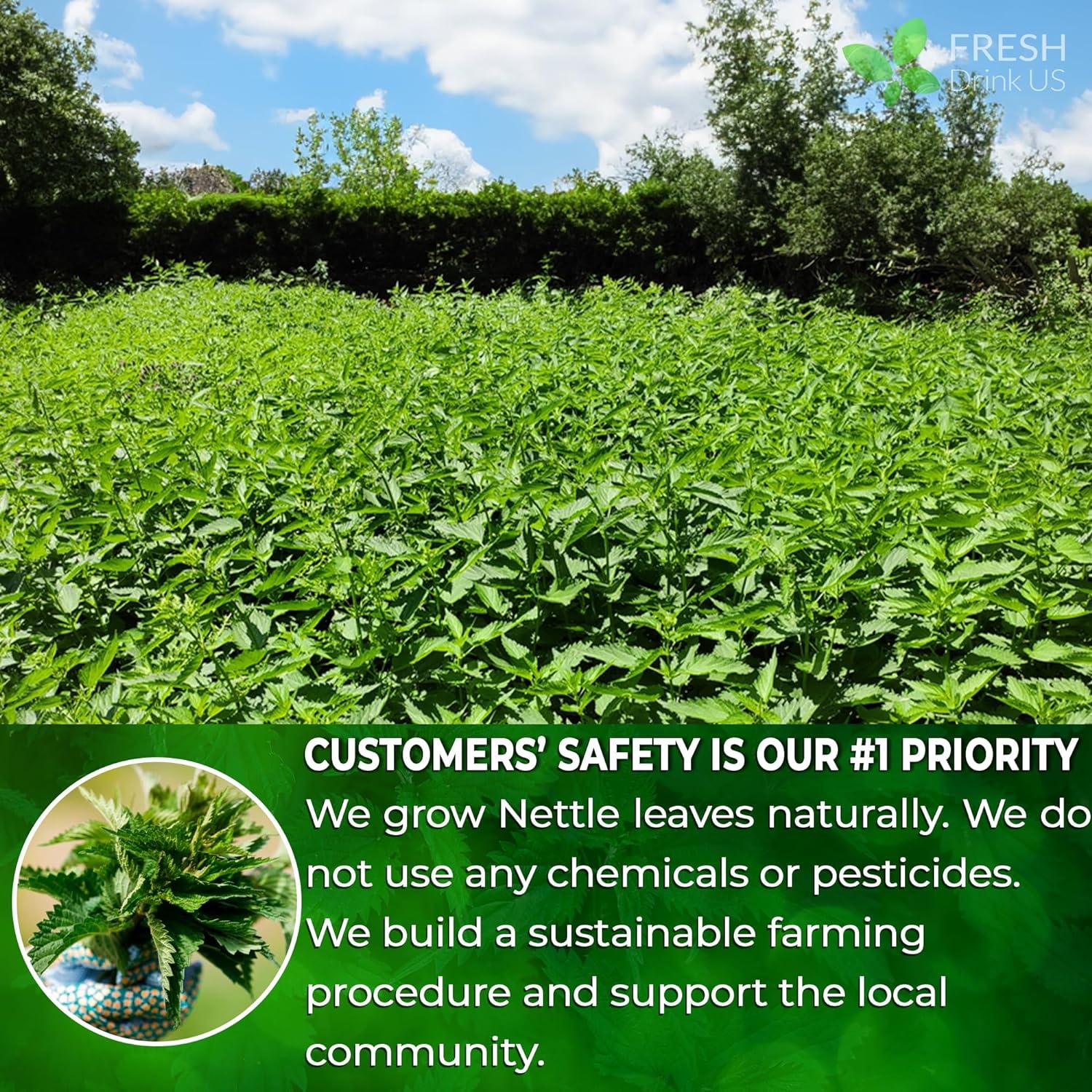 Premium Nettle Leaf Tea Bags, 100% Natural & Pure, Stinging Nettle Leaf Tea, Nettle Leaf Tea, Burn Nettle, Stinging Nettle, Nettle Tea, Stinger Tea, No Sugar/Caffeine & Gluten, Vegan