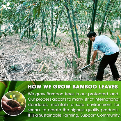 Dried Bamboo Whole Leaves, Bamboo Leaf, Sugar Free, Gluten Free, Whole Big Leaves, Bamboo Leaf For Cooking