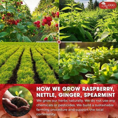 Hormone Balance Natural Menstrual Cycle Support Tea