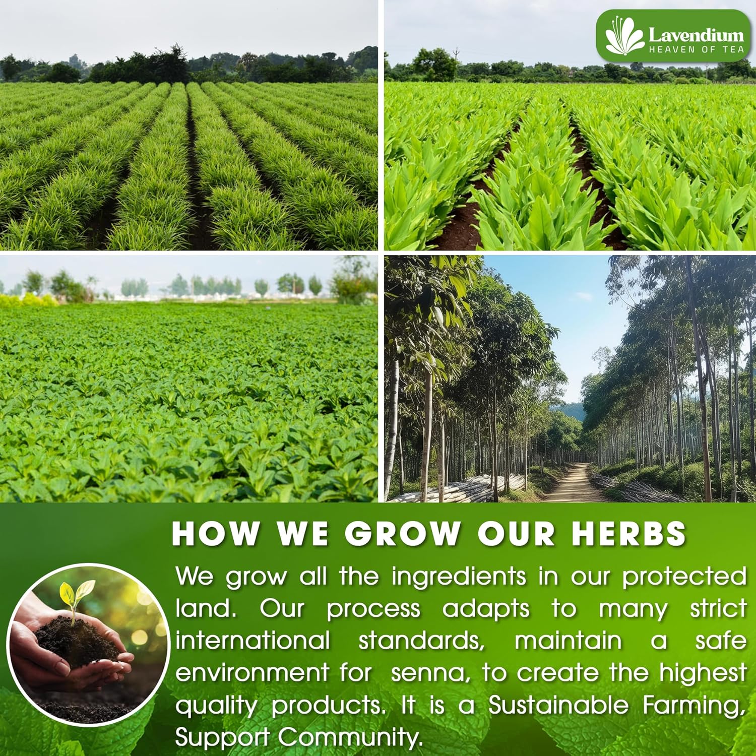 SIimming Detox Tea Caffeine Free - Herbal Tea with Chamomile, Hibiscus Tea & Ginger Root