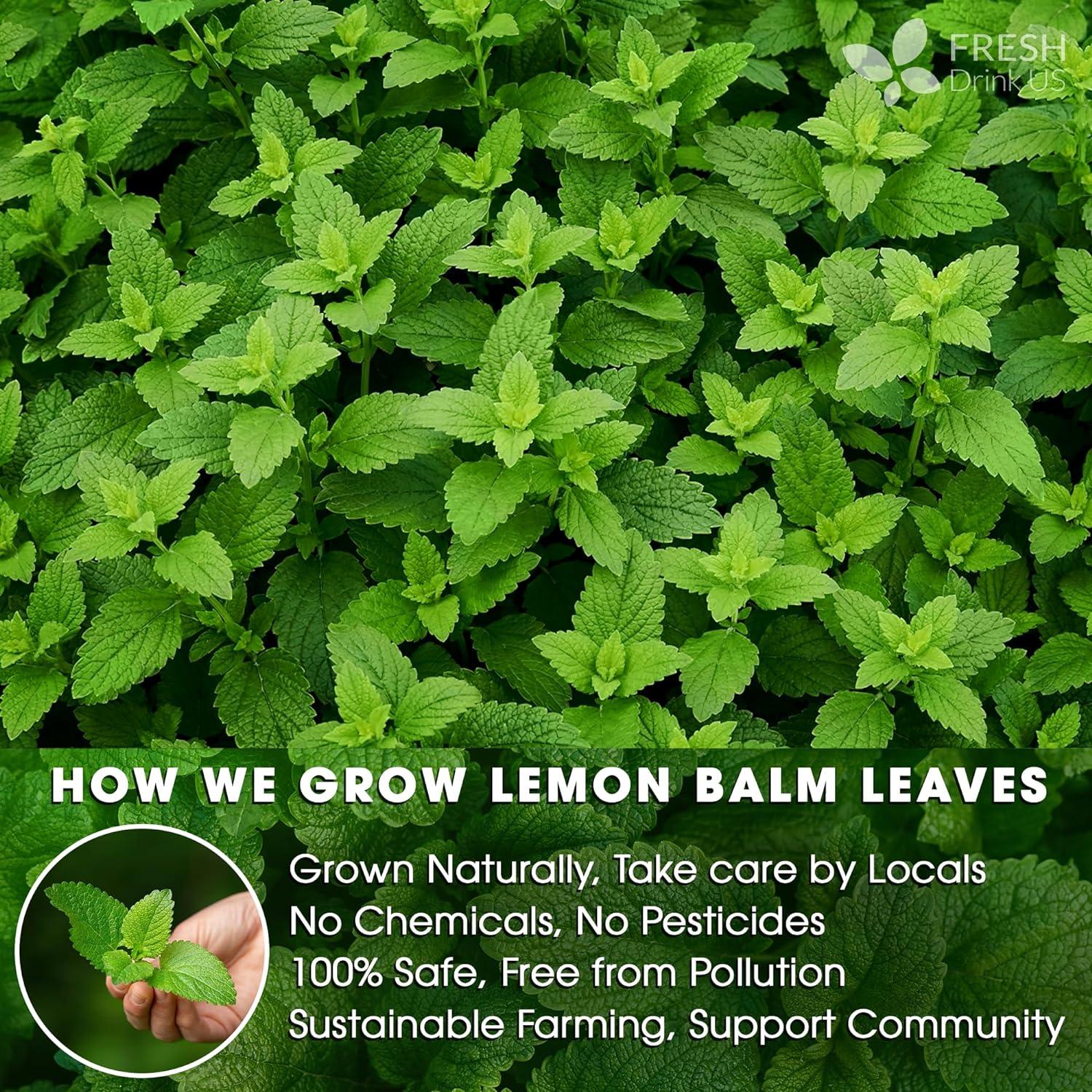Premium Lemon Balm Leaf Tea Bags, 100% Natural & Pure from Lemon Balm Leaves. Loose Leaf Lemon Balm Herbal Tea. Lemon Balm Leaf Tea. No Sugar, No Caffeine, No Gluten, Vegan.