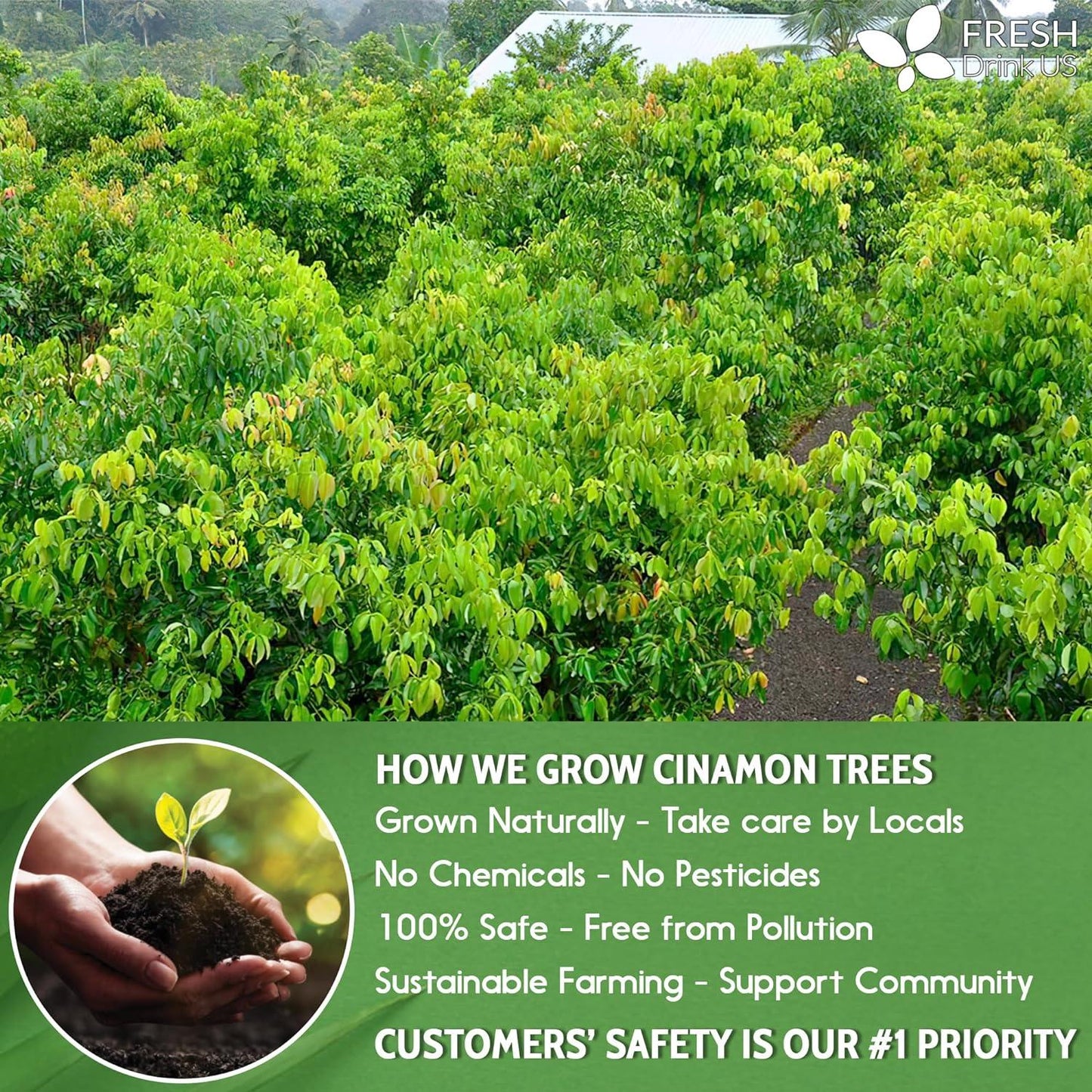 Natural Cinnamon Leaves, Whole Dried Cinnamon Leaves, Tea Bags, 100% Pure from Dried Cinnamon Leaves, Cinnamon Leaf Tea, No Additives, No Caffeine, Vegan